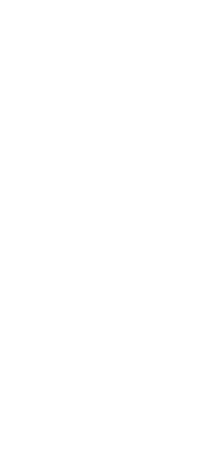 WITS Logo White